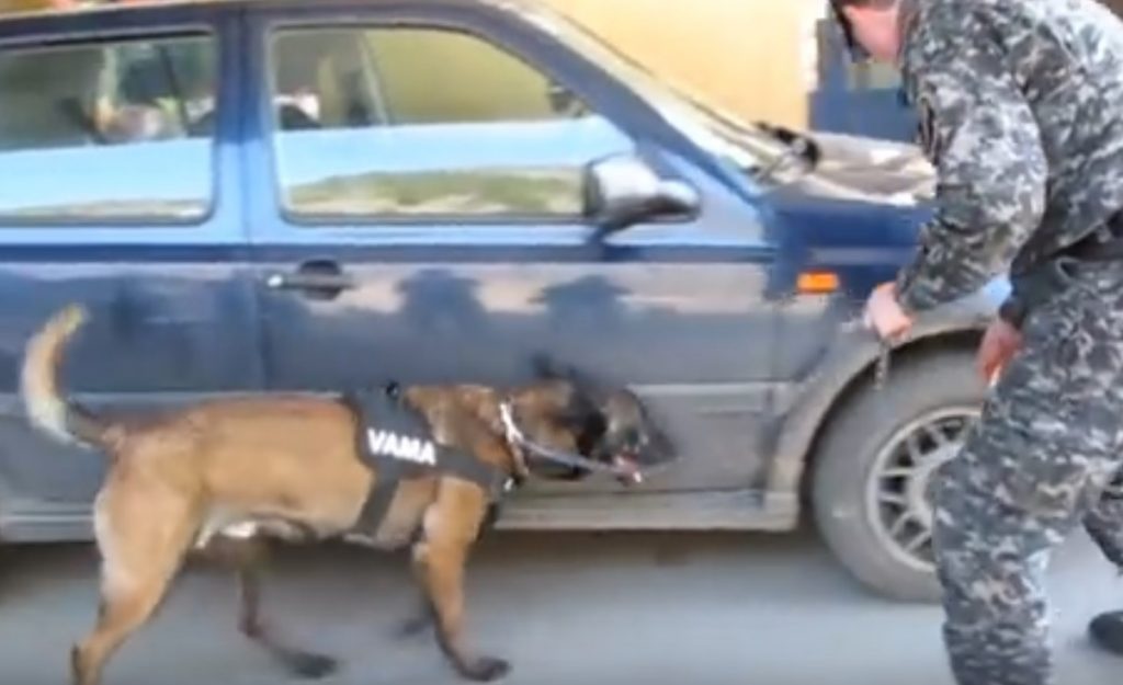 Sid-cainele-antitabac