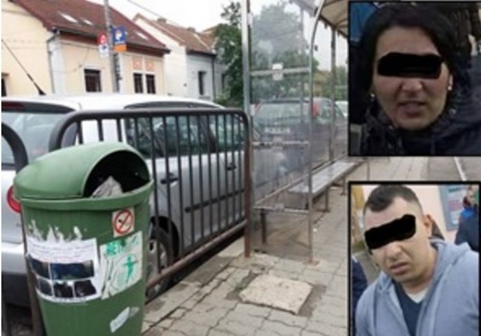 hoti-buzunare-timisoara