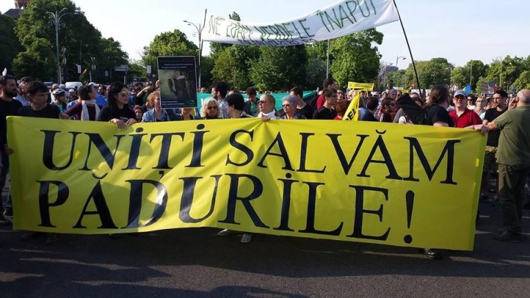 Opriţi tăierile ilegale, nu mai distrugeţi aurul  verde al României