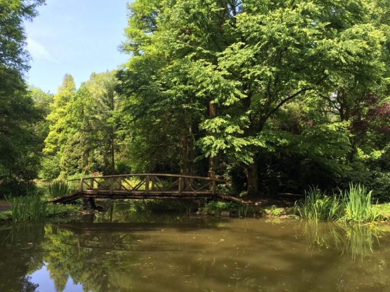 Concert jazz în rezervație! Prima ediţie a Festivalului Măgura Wave Fest a adunat sute de spectatori