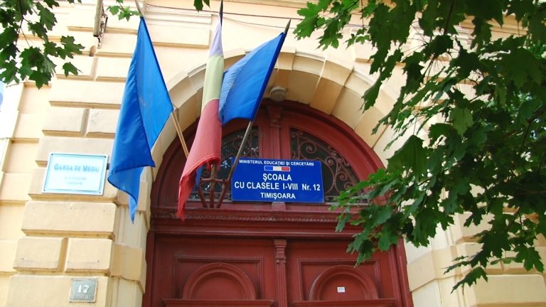 Angajări la Școala Gimnazială nr. 12 din Timișoara