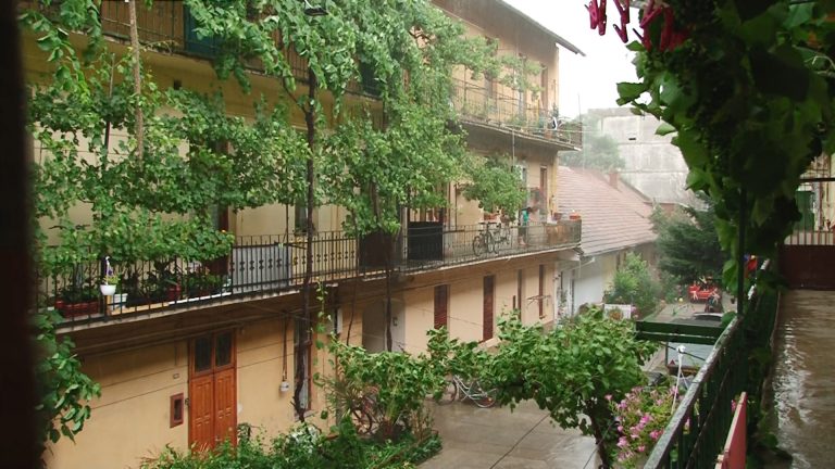 Avertisment pentru toți timișorenii, de la autoritățile locale! Pericolul nu a trecut, trebuie să fim precauți