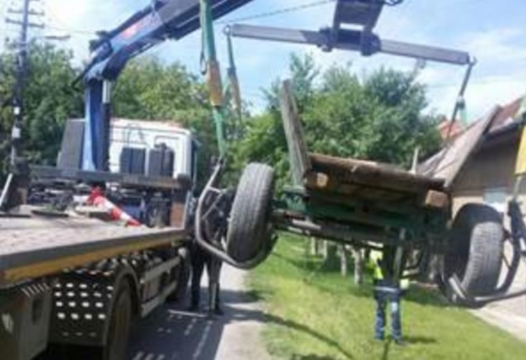 Tragedie pe sosea! 6 copii și o femeie, răniți după ce s-au răsturnat cu căruța