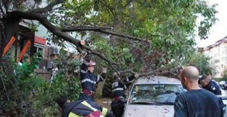 Vântul face ravagii în Banat! A fost instituit codul galben! Ce ne așteaptă în continuare?