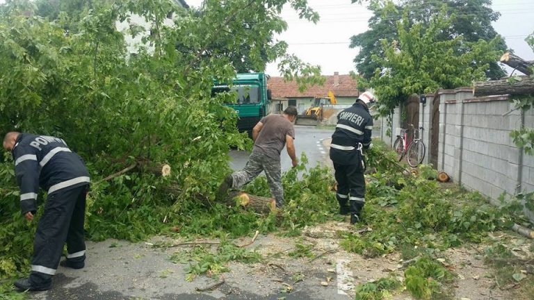 Furtuna a făcut ravagii în Caraș-Severin