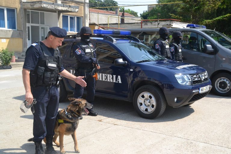 Au lucrat cu folos, pentru timișeni, în prima jumătate a anului! Au adus la buget aproape o jumătate de milion de lei din amenzi! VIDEO