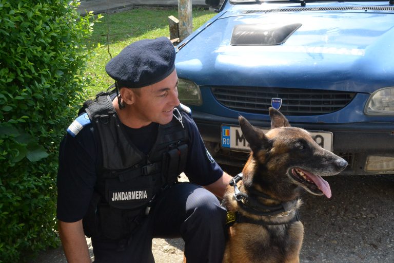 Jandarmii timişoreni pleacă la misiuni şi în judeţele vecine Timişului
