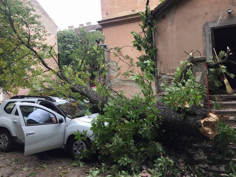 Furtuna a făcut ravagii în vestul țării. Copaci doborâți pe mașini și inundații. Video