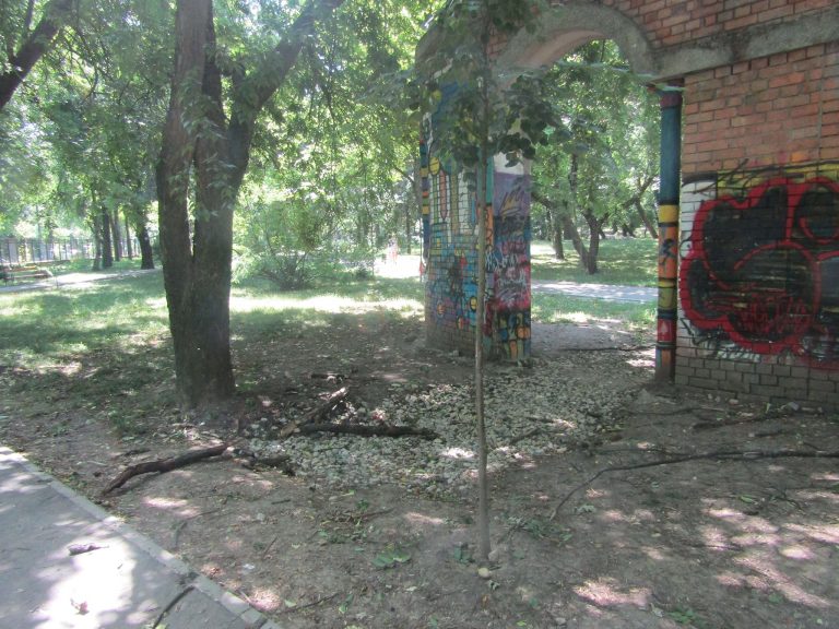 ”Parcul Botanic” sau ”Pădurea Haosului”?