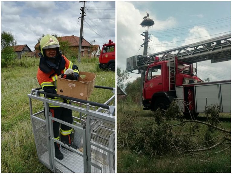 Operațiune de suflet! A cui viață au salvat pompierii timișeni!