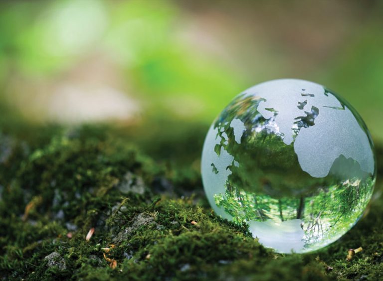 Acțiuni de ecologizare în mai multe orașe din Timiș, cu ocazia Zilei Mondiale a Mediului