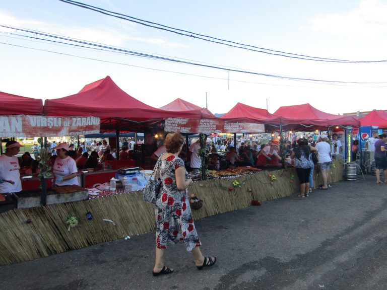 În sezonul vacanțelor estivale, Vestul țării a intrat în zodia festivalurilor-VIDEO