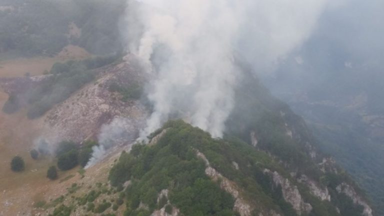 Ard din nou pădurile Banatului! Mobilizare de forțe pentru stingerea unui incendiu în Parcul Naţional Domogled