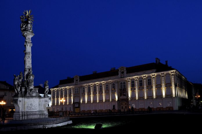 Muzeul de Arta Timisoara (3)