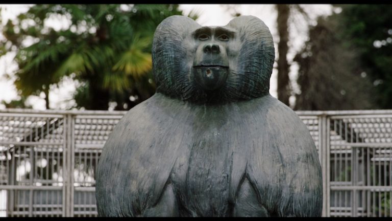 Unde pot fi văzute… „Ouăle lui Tarzan”?