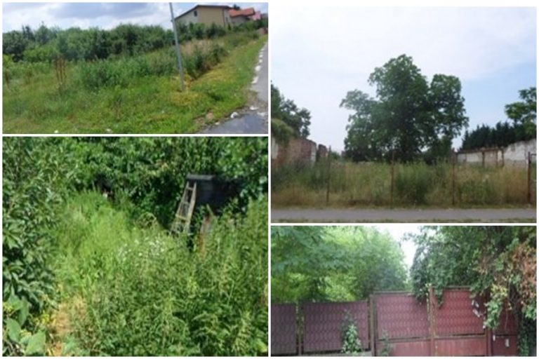 Amenzi uriașe la Timișoara pentru cei care nu-și cosesc terenurile