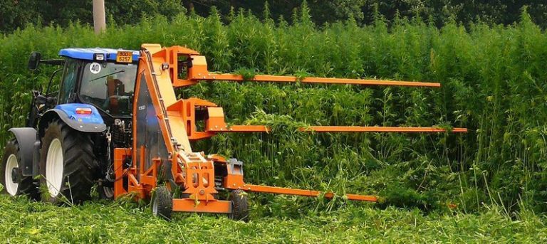 Olandezii ne dau lecții, la noi acasă. Afacerea cu un profit de 70.000 de euro pe an, din vestul țării