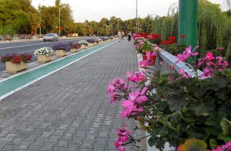 Motivul INCREDIBIL pentru care femeie din Israel a distrus florile de pe Podul Michelangelo