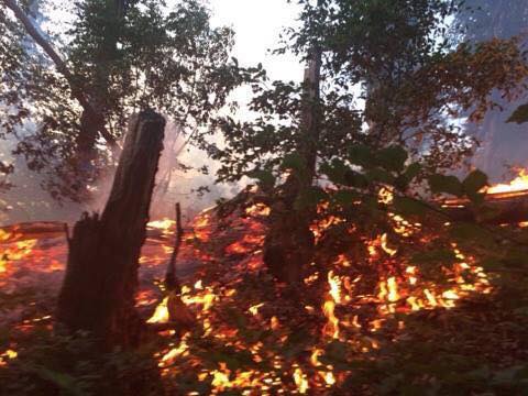 Un nou incendiu de vegetație a izbucnit lângă Reșița. Accesul e greu, pompierii luptă cu pliciurile!