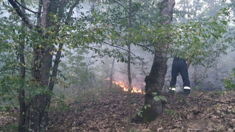 Creștere alarmantă a numărului incendiilor de vegetație uscată în Caraș-Severin