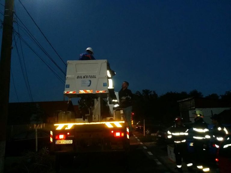 Misiune de salvare neobișnuită! Cui au salvat viața pompierii din Banat!