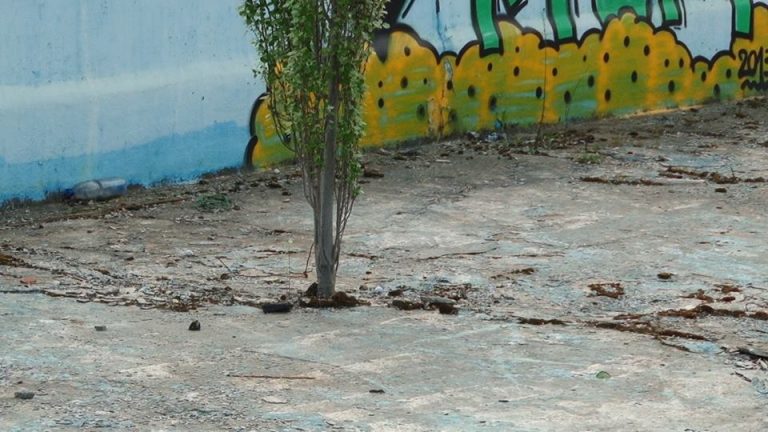 Timişoara, oraşul ştrandurilor în paragină. Ce se găsește acum în fostele bazine. FOTO-VIDEO