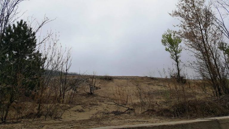 Se taie copaci la greu, în mod ilegal, oamenii sesizează și… cam atât!