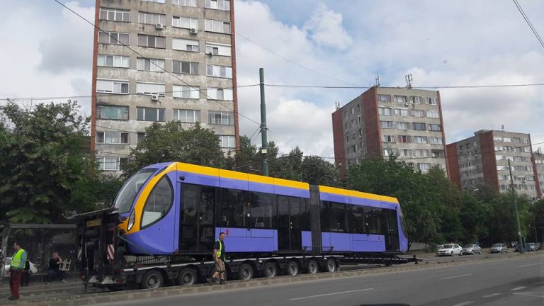 Apariții neașteptate pe liniile de tramvai din Timișoara