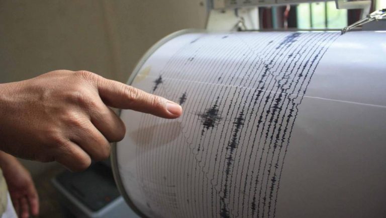 Cutremur de 4,5 pe Richter în Vrancea