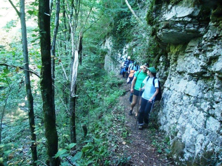 Se întâmplă în Banatul de munte! Regia Națională a Pădurilor Romsilva dă liber la tăieri de arbori într-o rezervație naturală!