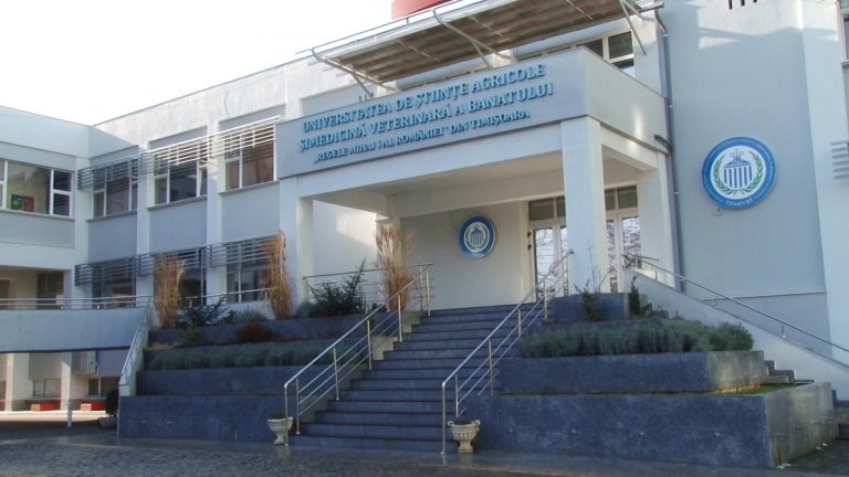 Anunț organizare licitație