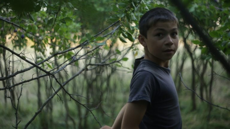 Wild Berries  a câștigat cu unanimitate de voturi