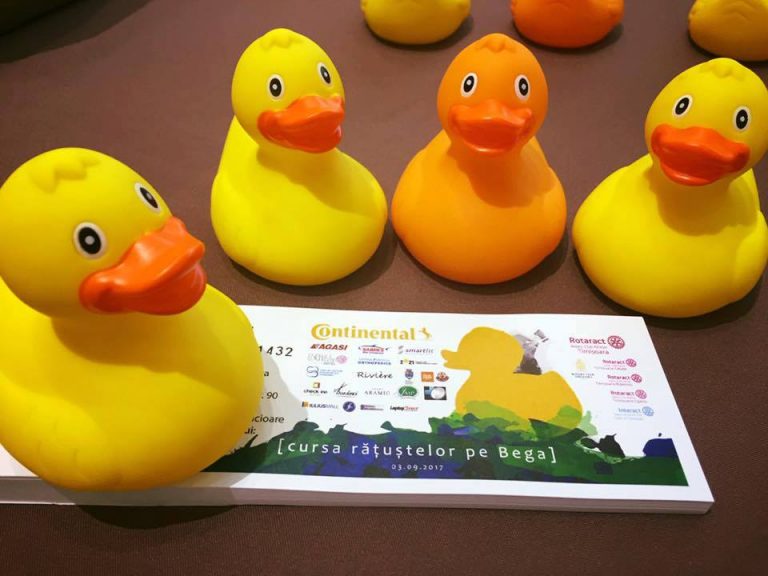 Spitalul Odobescu va fi renovat cu ajutorul rățuștelor galbene