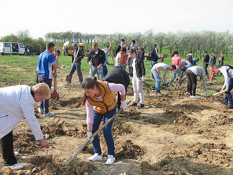 Sprijin de la APIA pentru fermierii din Banat și din întreaga țară!