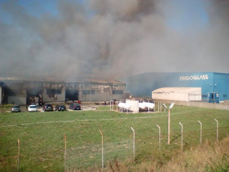 Incendiu puternic la o hală de lângă Timișoara