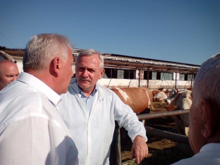 De la… coada vacii, Liviu Dragnea îl atacă pe ambasadorul SUA în România