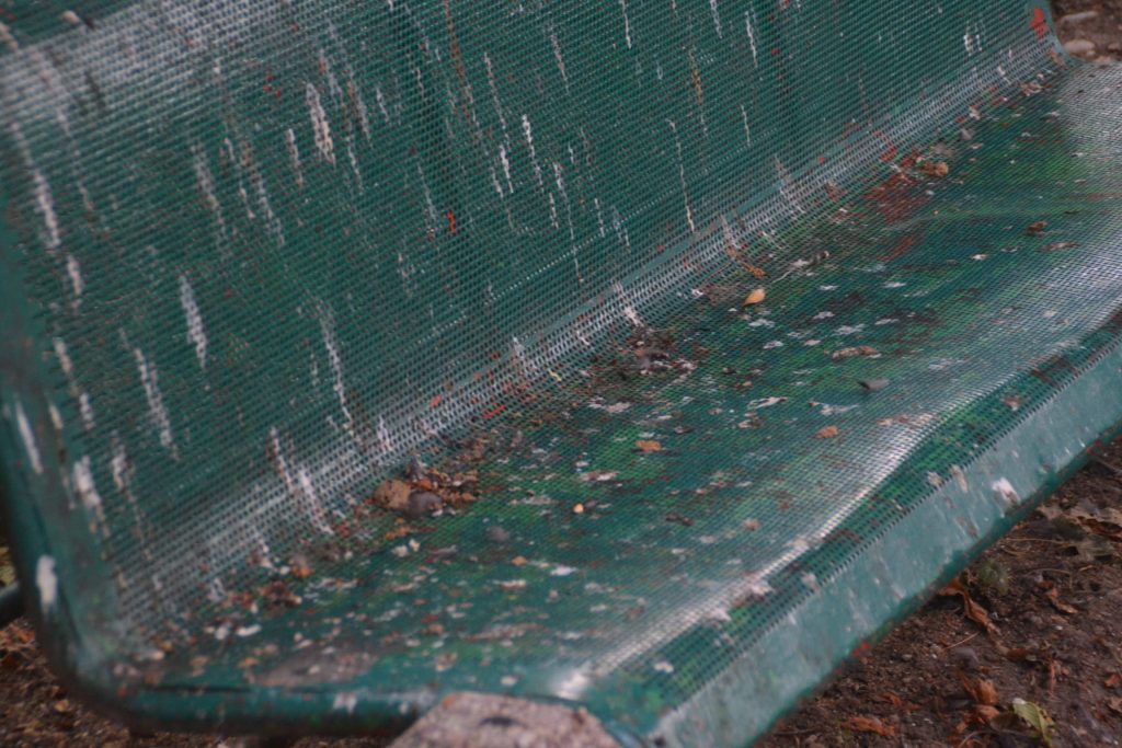 mizerie parc catedrala (11)