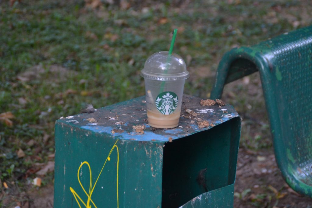 mizerie parc catedrala (8)