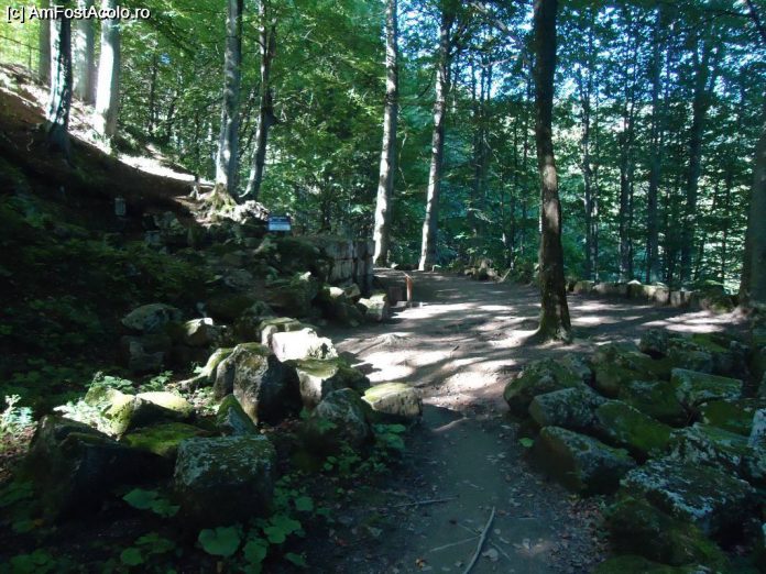 padure-sarmizegetusa-1