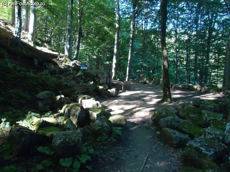 Cele mai importante descoperiri arheologice ale ultimilor 50 de ani pot fi admirate în vestul țării. Mii de turiști sunt așteptați