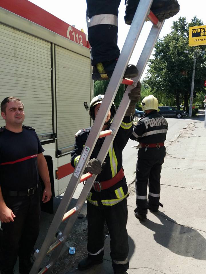 Aproximativ 140 de copii și adulți au fost evacuați dintr-o grădiniţa în vestul țării