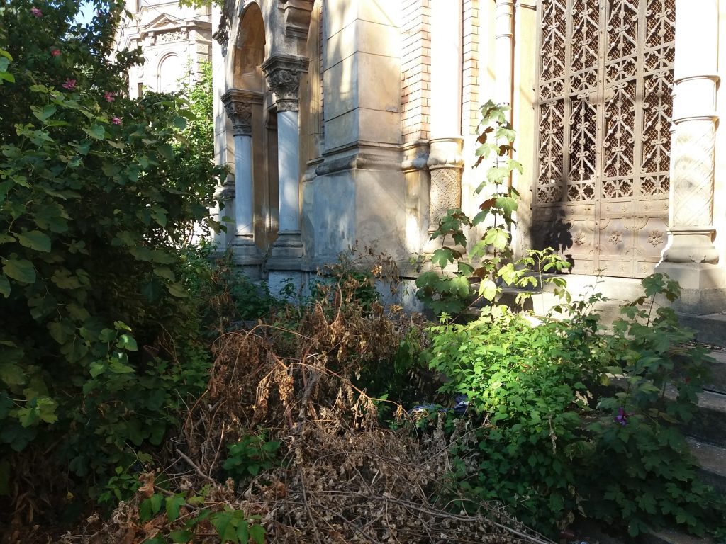 sinagoga fa bric (23) - Copy