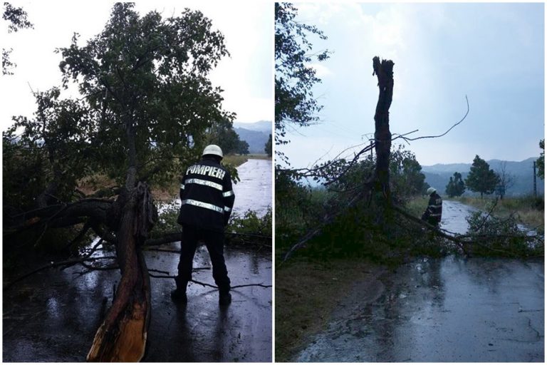 Vijeliile au făcut prăpăd în Caraș-Severin! Mii de oameni fără curent, copaci căzuți, calea ferata Oravița – Anina blocată de aluviuni!