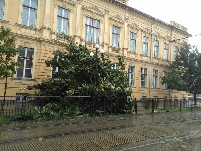 Se suspendă cursurile la școlile din Timiș care au fost grav afectate de furtuna devastatoare