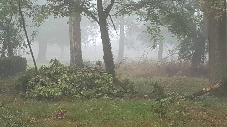 Rafale puternice de vânt în Timiș și Caraș-Severin! Rămâneți în spații protejate în următoarele ore