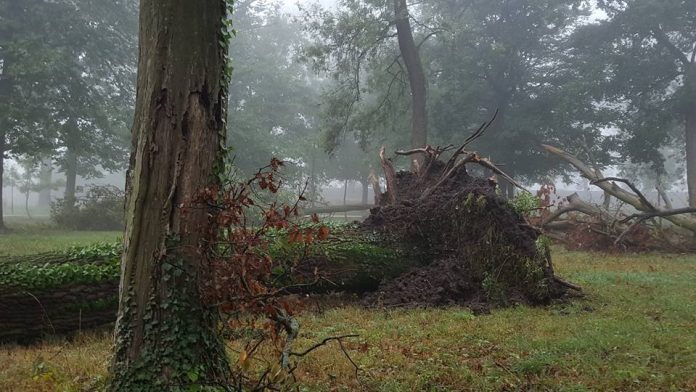 Vijelia la Muzeul Satului Banatean 14