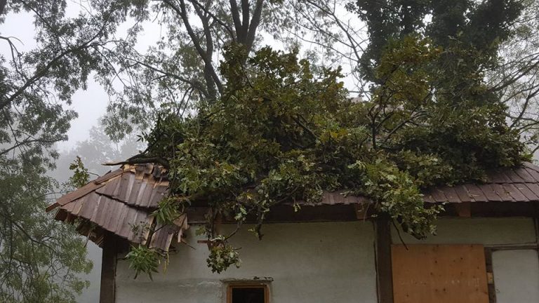 Stihiile naturii care s-au abătut duminică asupra vestului țării au lăsat urme și la Muzeul satului Bănățean din Timișoara – galerie foto