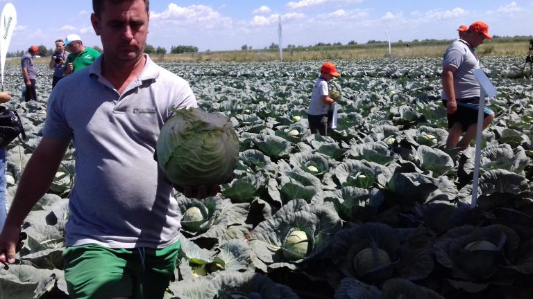 Șansă uriașă pentru produsele agricole din Banat ! Ce investiție majoră urmează să fie pusă pe picioare