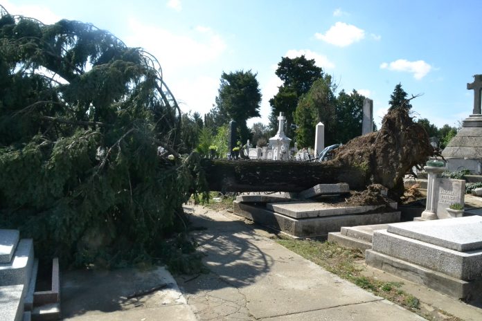 cimitir furtuna distrugeri (3)