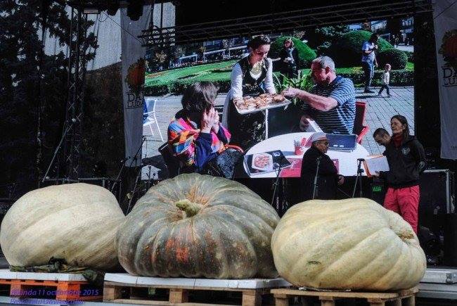 La Kikinda, de „Zilele dovleacului”, timişorenii pot asista la un nou record. Cel vechi e de 500 de kg